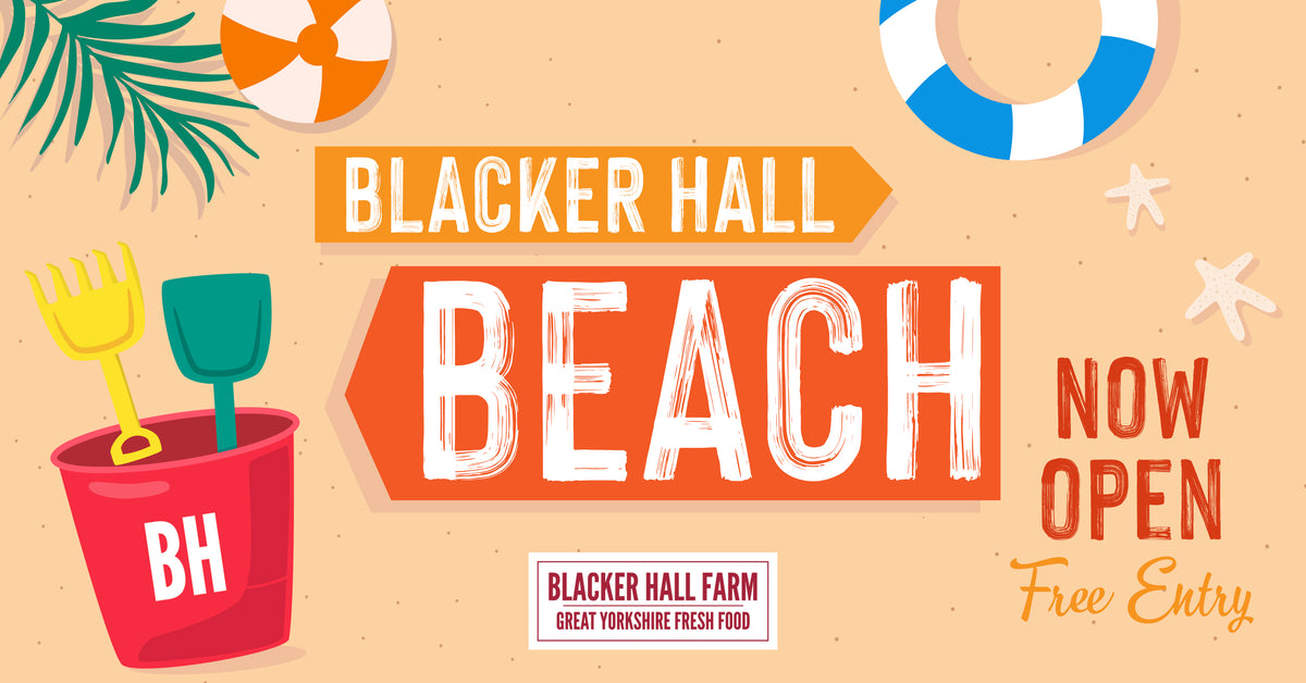 Blacker Hall Beach