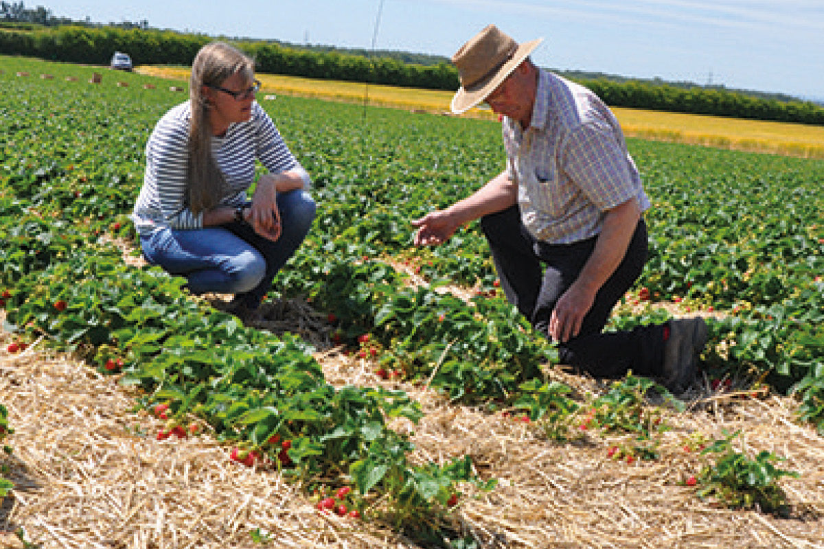 RICHARD SPILMAN, YORKSHIRE GROWER