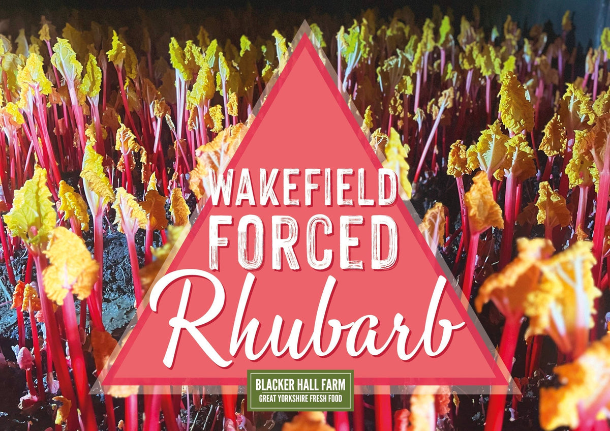 RHUBARB WEEKEND