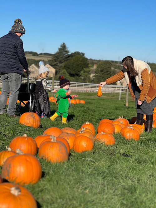 Pumpkin picking & painting