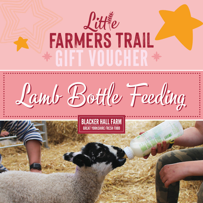 Lamb bottle feeding - Gift Voucher