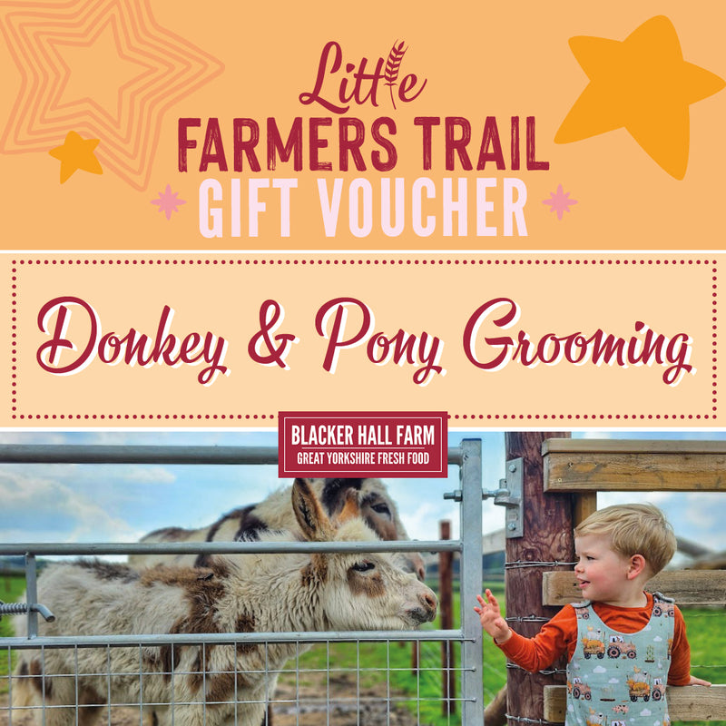 Donkey & Pony Grooming - Gift Voucher