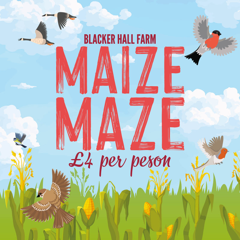 Maize Maze Ticket