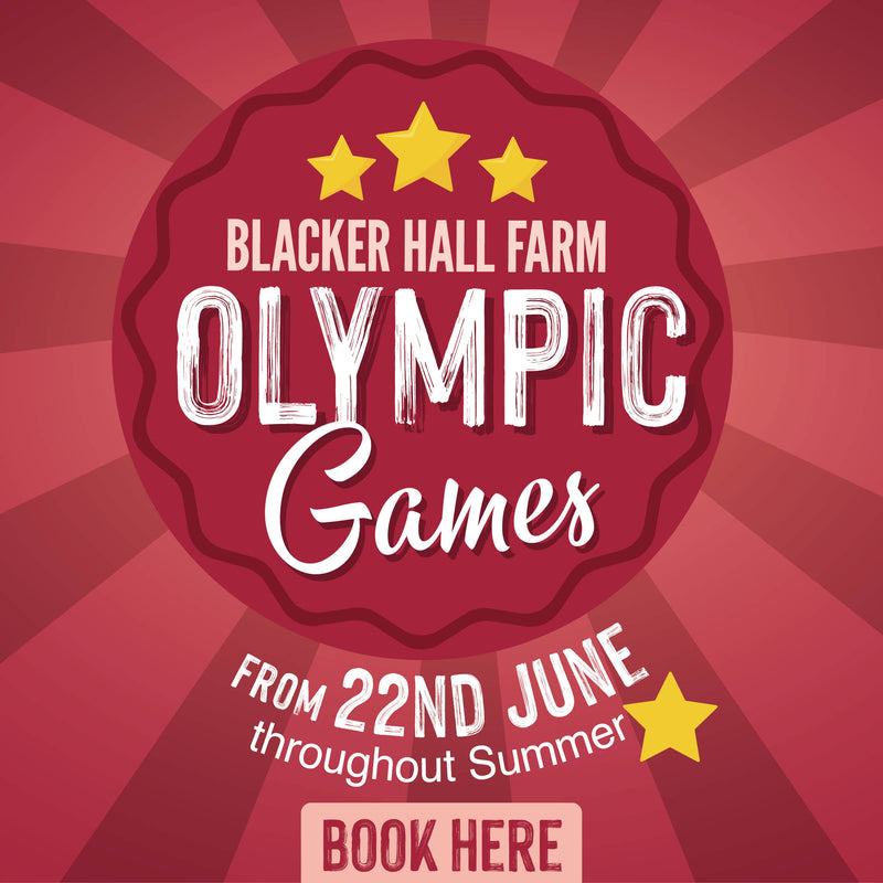 Blacker Hall Olympic Games