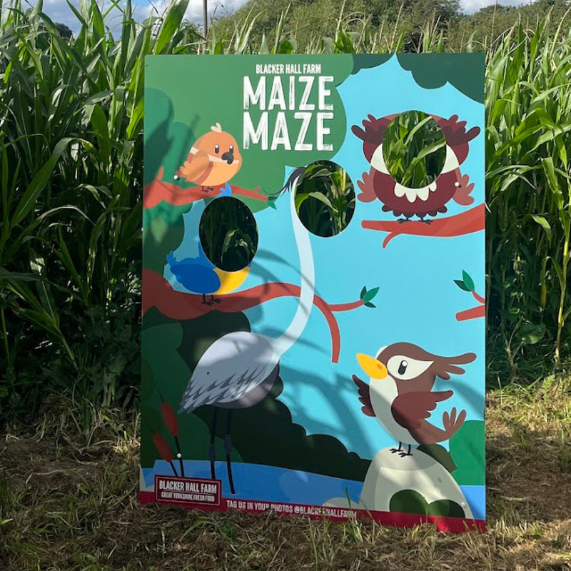 Maize Maze Ticket