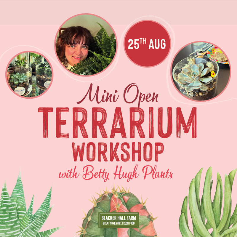 TERRARIUM WORKSHOP